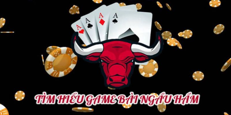 Cách chơi ngầu hầm với quy tắc không quá phức tạp