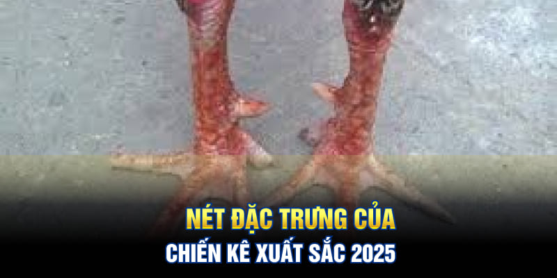 Nét đặc trưng của chiến kê xuất sắc 2025
